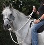 Natural-Hackamore
