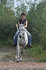 Natural Hackamore_